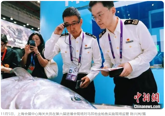 (*六屆進(jìn)博會)藍(lán)鰭金槍魚亮相 馬耳他水產(chǎn)品在中國首秀